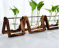 VIVORA™ Minimalist Glass Planter for Desk & Home Decoration