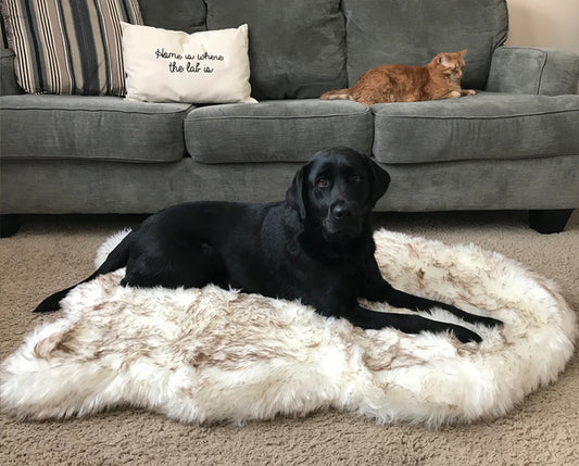 Vivora™ CozyPaws Plush Dog Mat