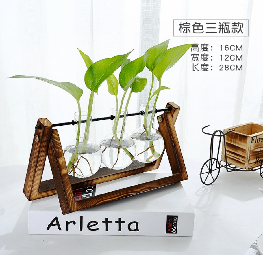 VIVORA™ Minimalist Glass Planter for Desk & Home Decoration