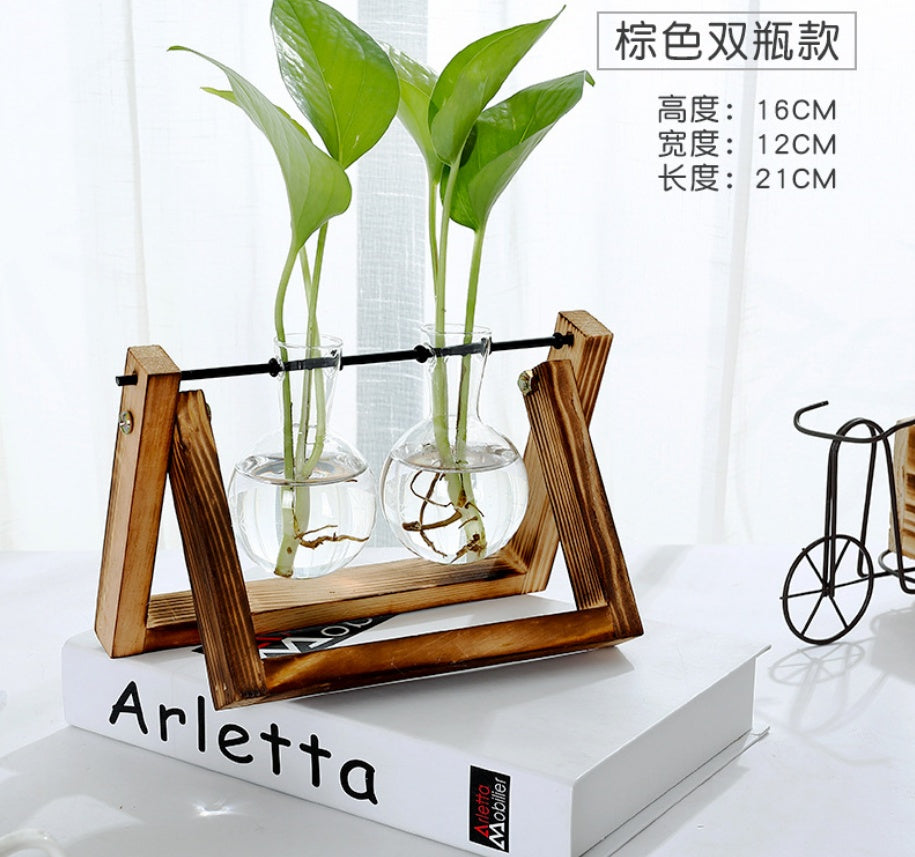 VIVORA™ Minimalist Glass Planter for Desk & Home Decoration