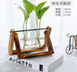 VIVORA™ Minimalist Glass Planter for Desk & Home Decoration